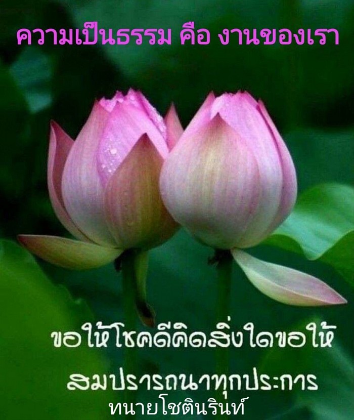 สำนักงานทนาย โชตินรินท์ กุลนิษฐ์โอฬาร